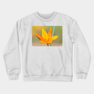 Crocus  &#39;Orange Monarch&#39; Crewneck Sweatshirt